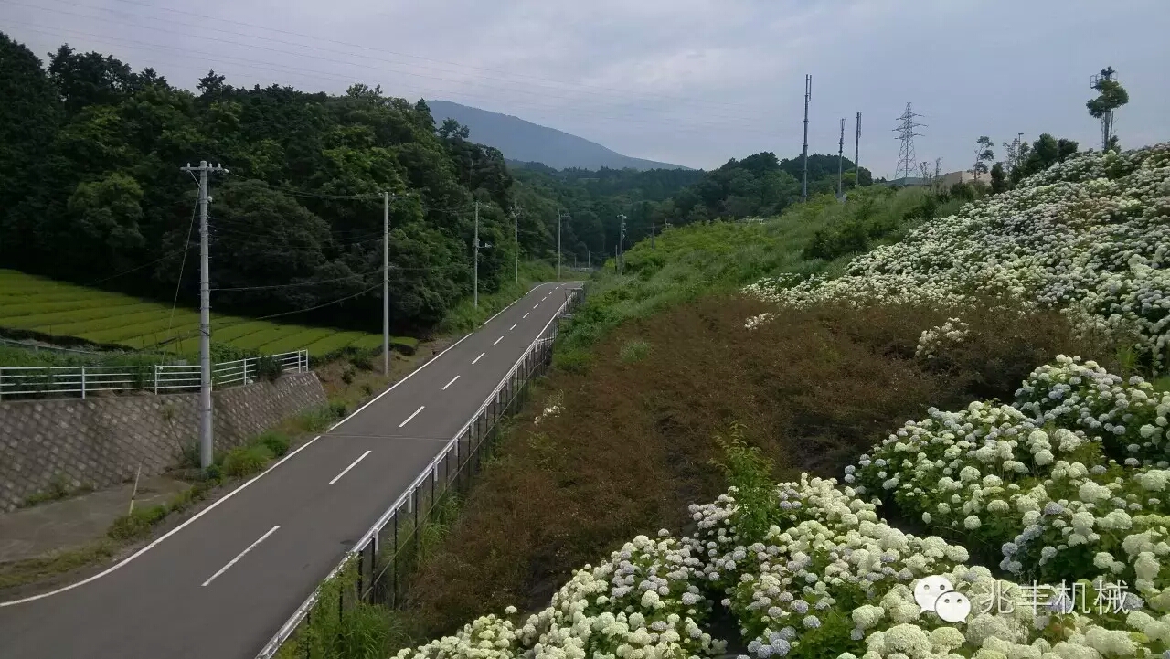 道路1.jpg 道路1.jpg