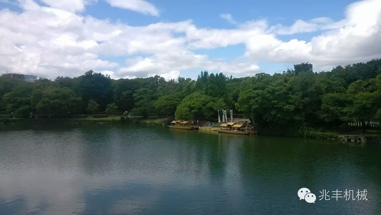 公園1.jpg 公園1.jpg
