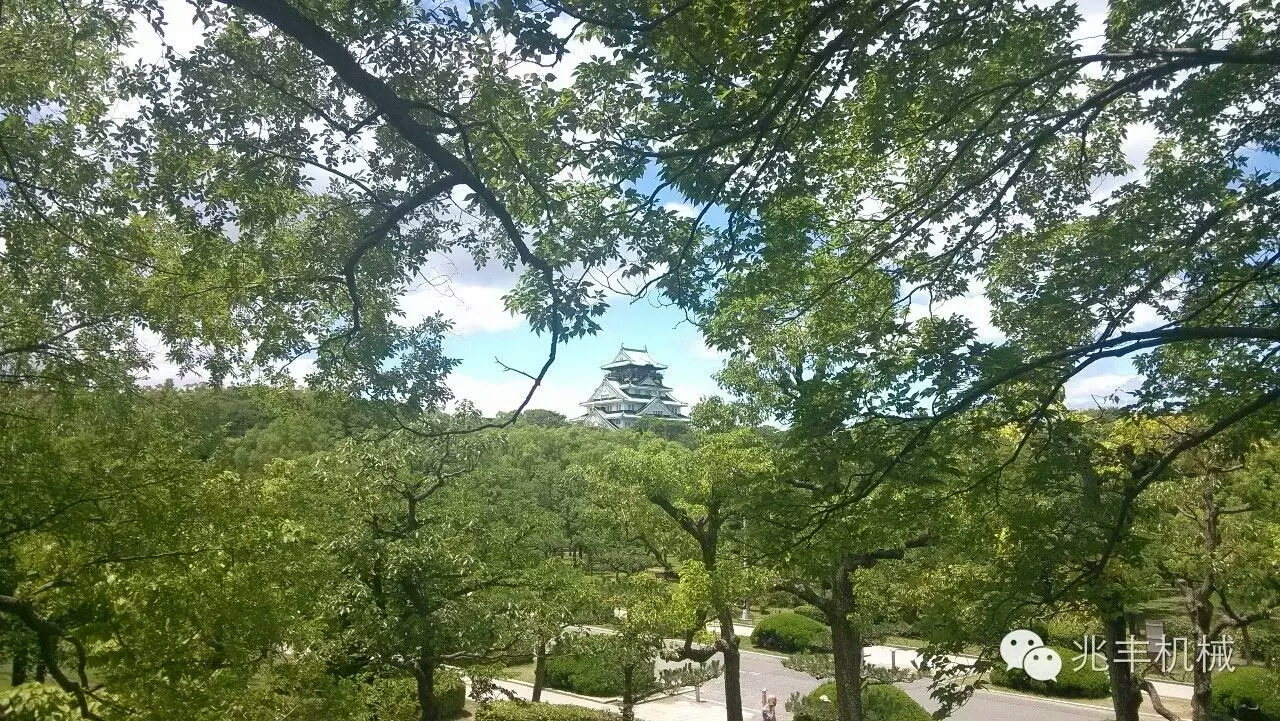 公園.jpg 公園.jpg